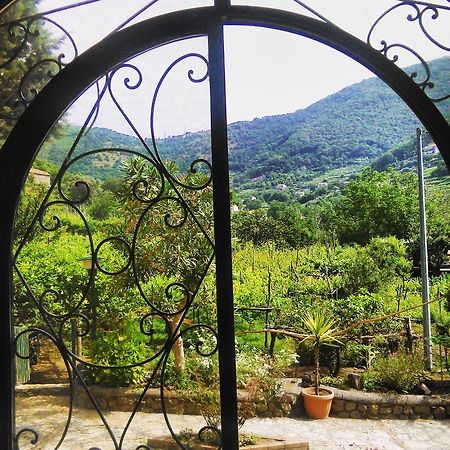Agriturismo Mare E Monti 트라몬티 외부 사진
