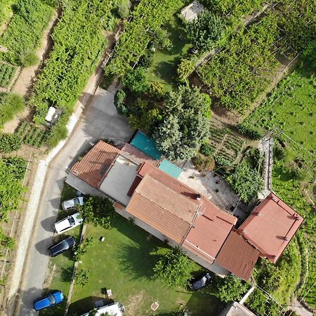 Agriturismo Mare E Monti 트라몬티 외부 사진