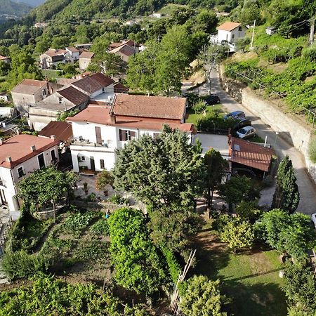 Agriturismo Mare E Monti 트라몬티 외부 사진