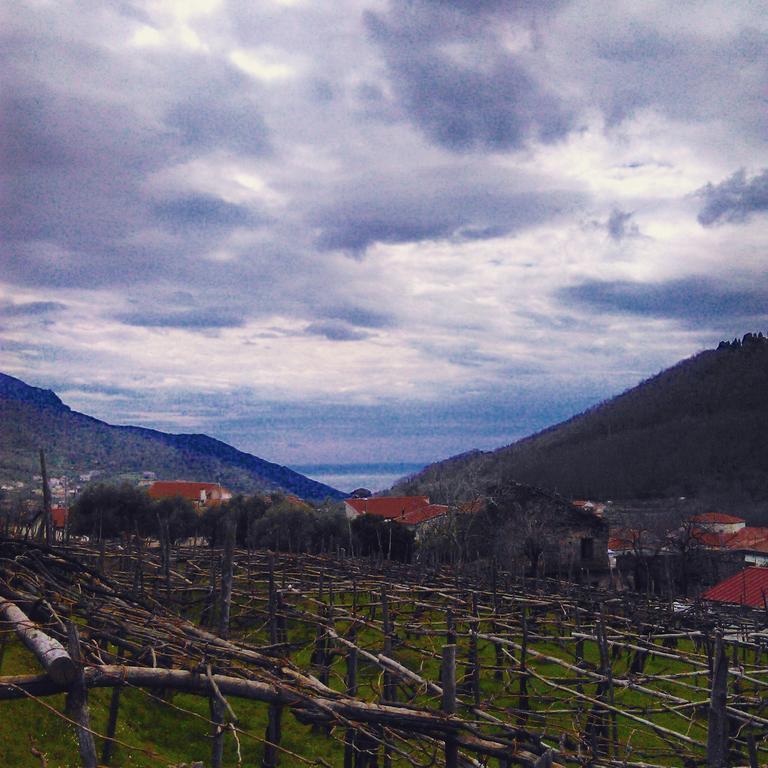 Agriturismo Mare E Monti 트라몬티 외부 사진