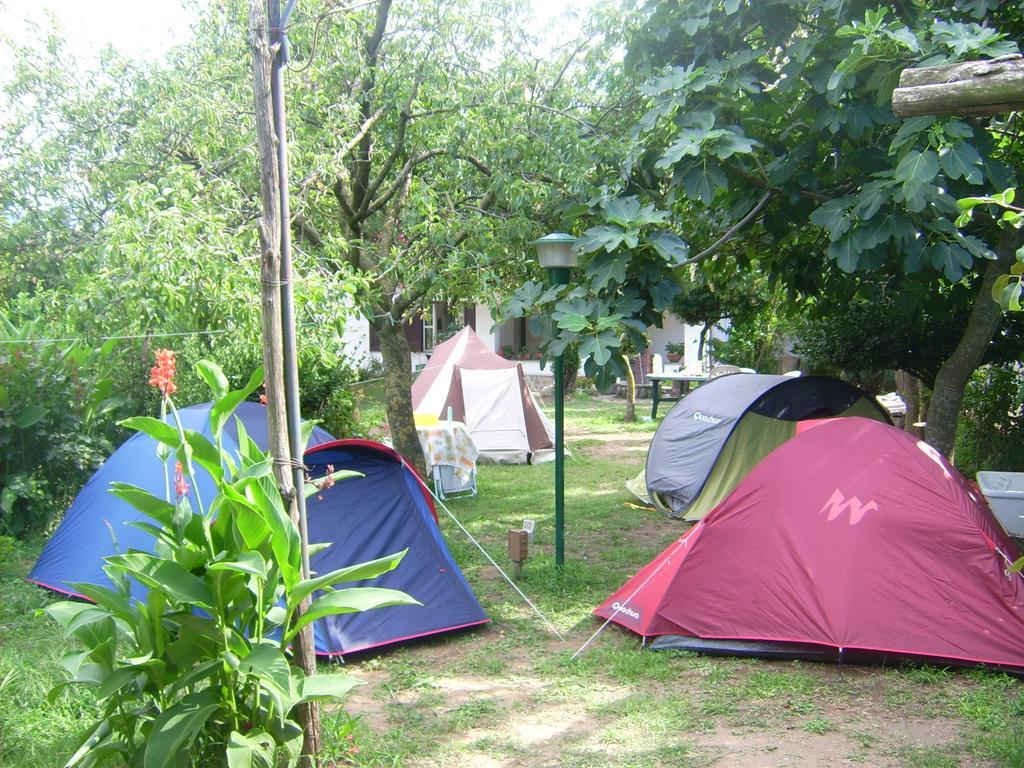 Agriturismo Mare E Monti 트라몬티 외부 사진