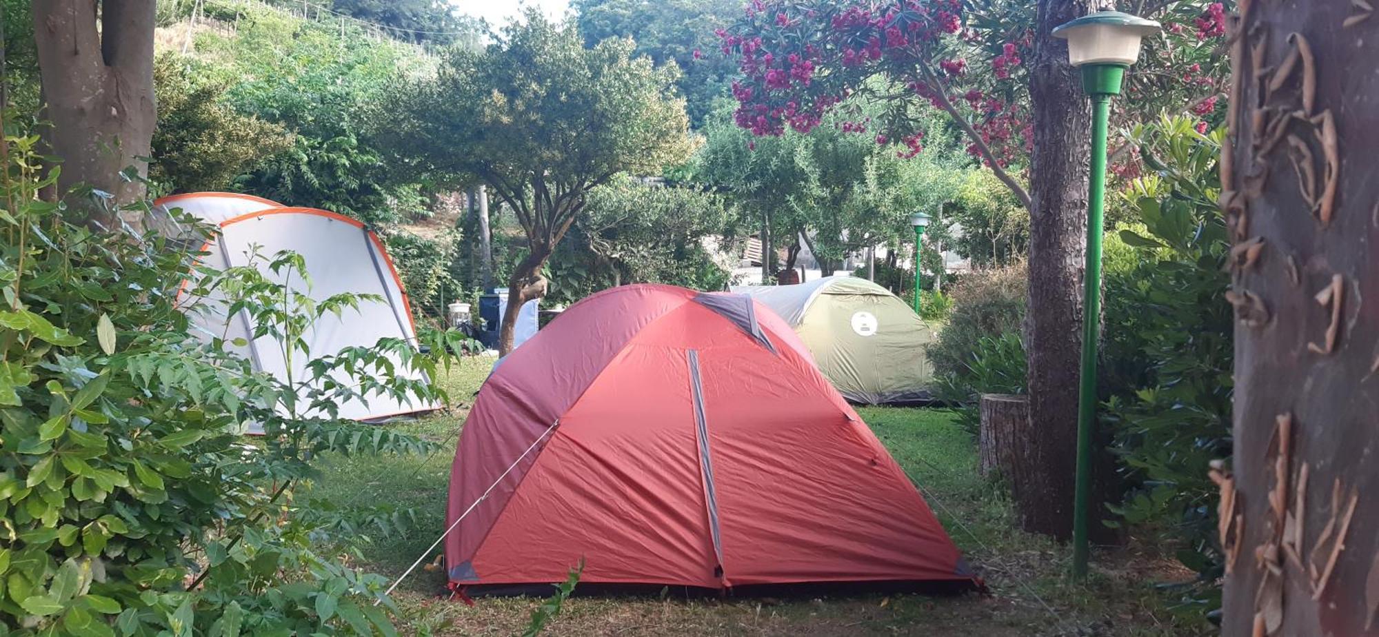 Agriturismo Mare E Monti 트라몬티 외부 사진
