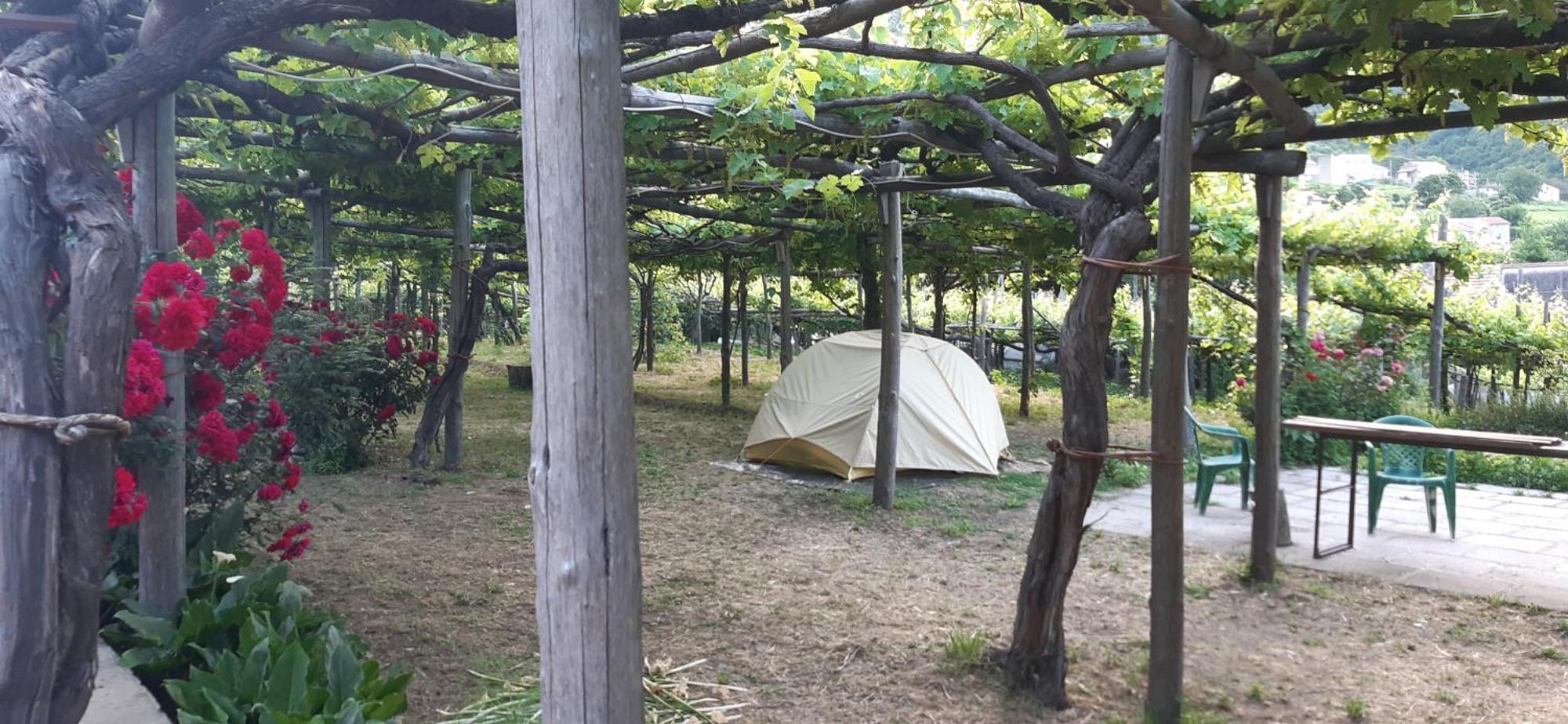 Agriturismo Mare E Monti 트라몬티 외부 사진