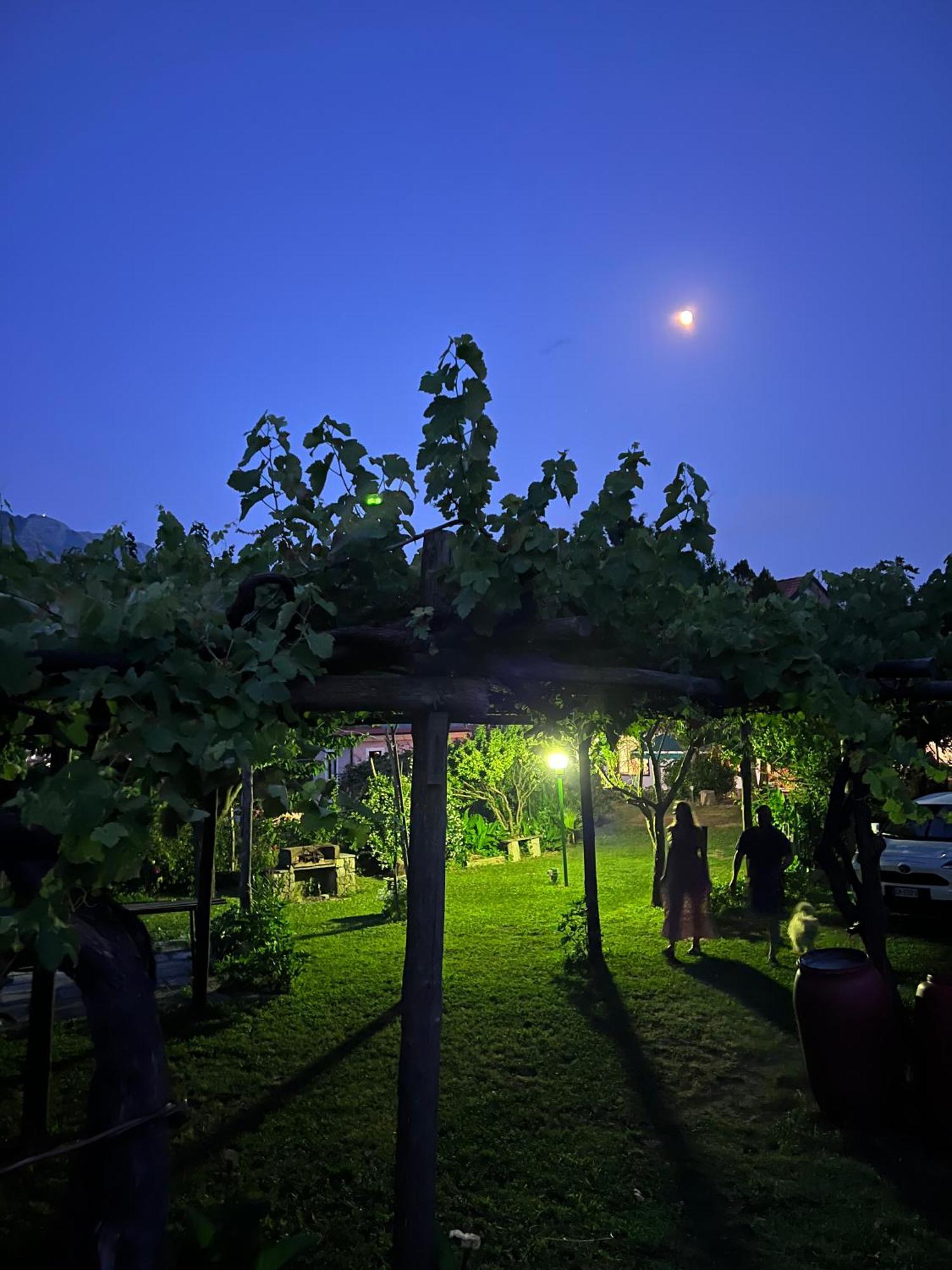 Agriturismo Mare E Monti 트라몬티 외부 사진