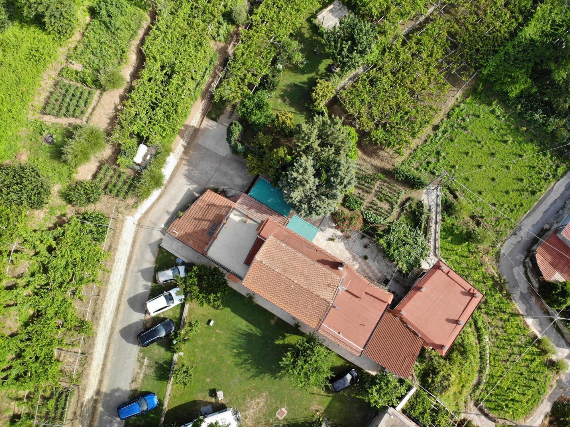 Agriturismo Mare E Monti 트라몬티 외부 사진