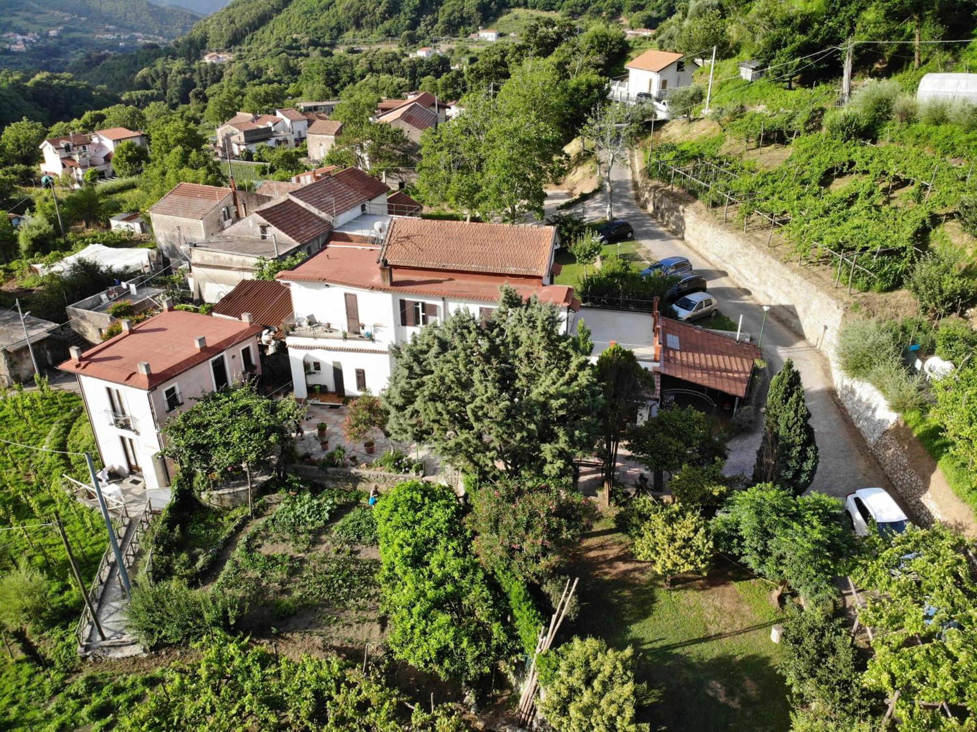 Agriturismo Mare E Monti 트라몬티 외부 사진