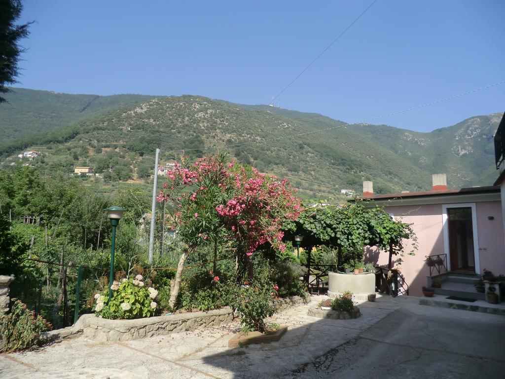 Agriturismo Mare E Monti 트라몬티 외부 사진