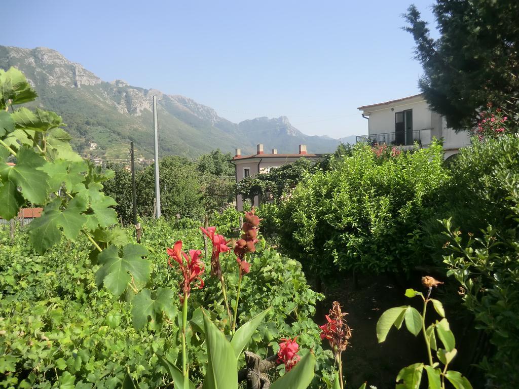 Agriturismo Mare E Monti 트라몬티 외부 사진