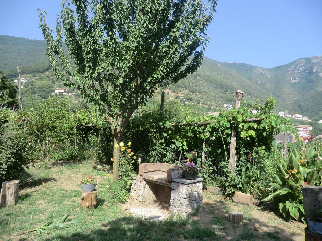 Agriturismo Mare E Monti 트라몬티 외부 사진