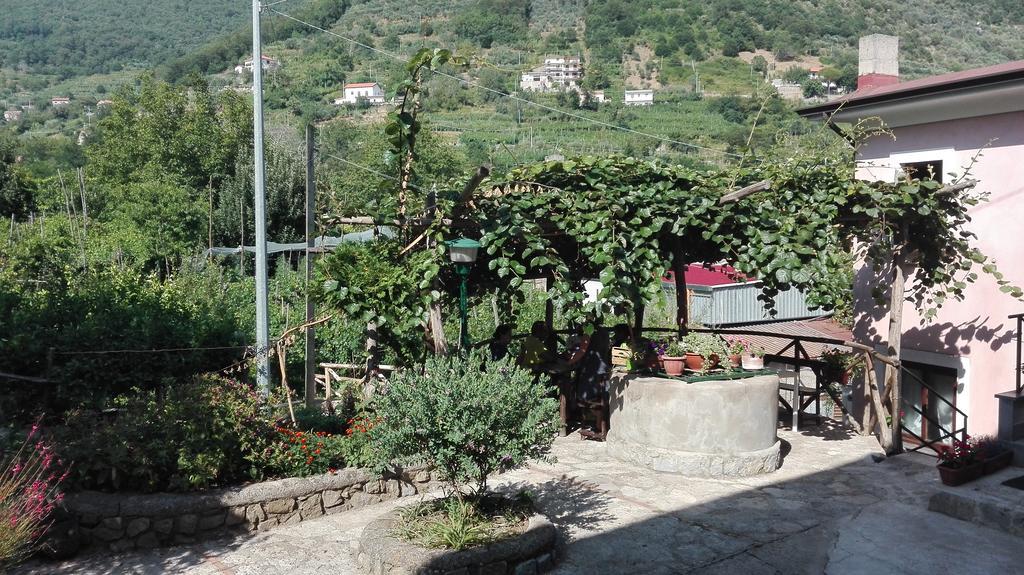 Agriturismo Mare E Monti 트라몬티 외부 사진