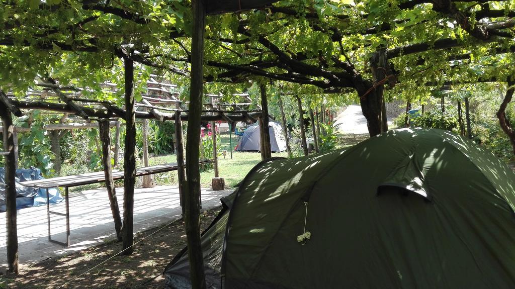 Agriturismo Mare E Monti 트라몬티 외부 사진