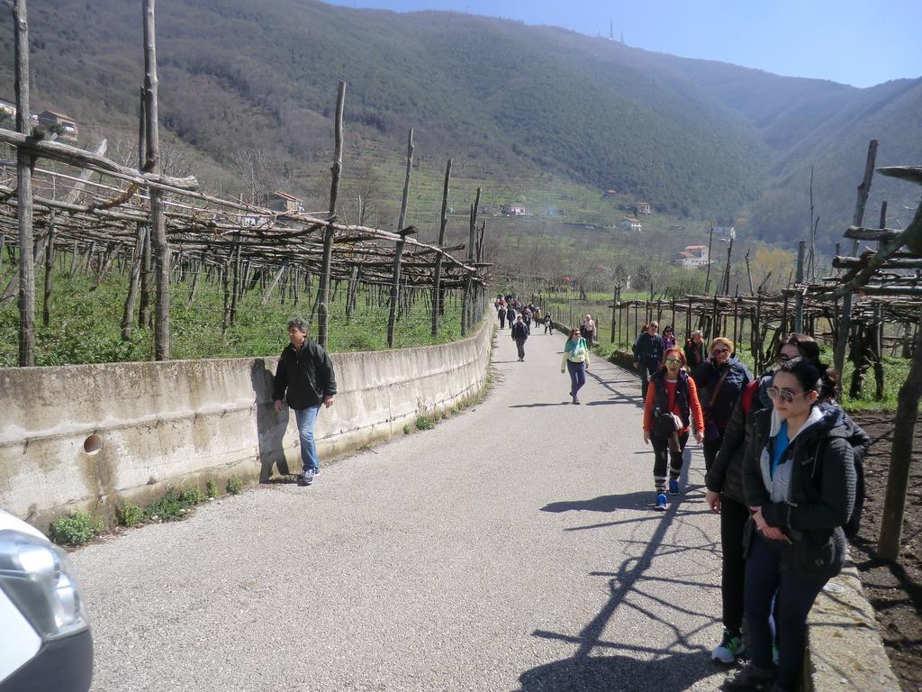 Agriturismo Mare E Monti 트라몬티 외부 사진