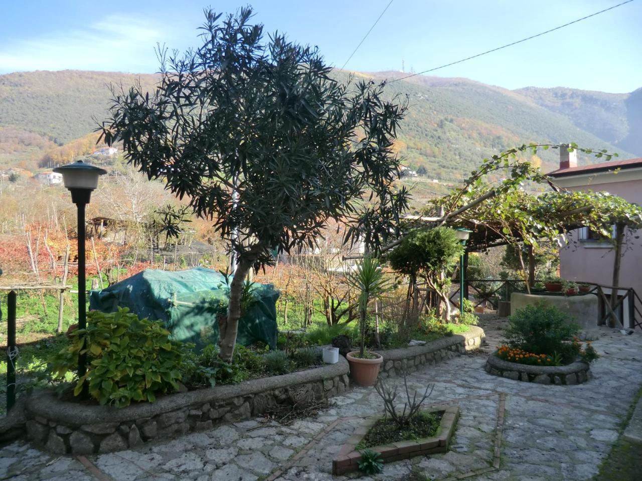 Agriturismo Mare E Monti 트라몬티 외부 사진